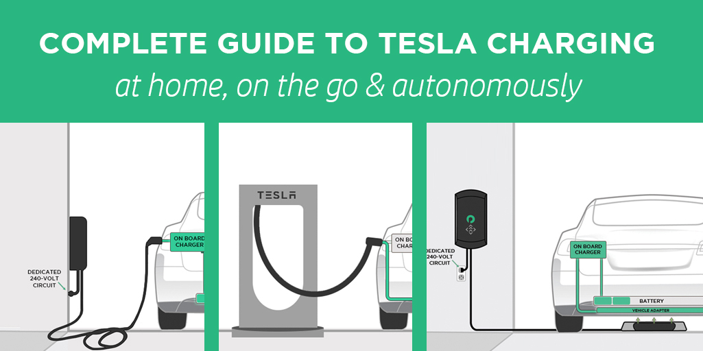 Tesla Infographic Which Model S Options do Owners Choose?